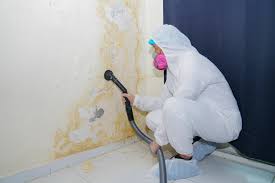 Hydro, OK Mold Removal Company